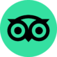 A green circle with an owl on it.